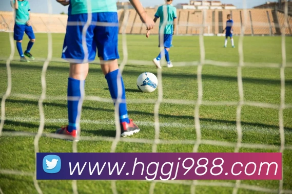 数据分析功能